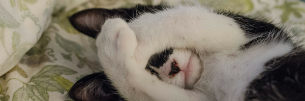 Use your voice to express who you are