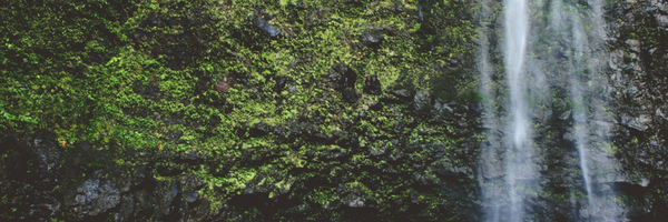 What is it time to forgive yourself for?