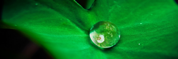 Choose how you'll be each day to set yourself up for success