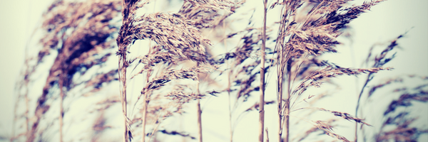 Believe in you, you have so much to offer