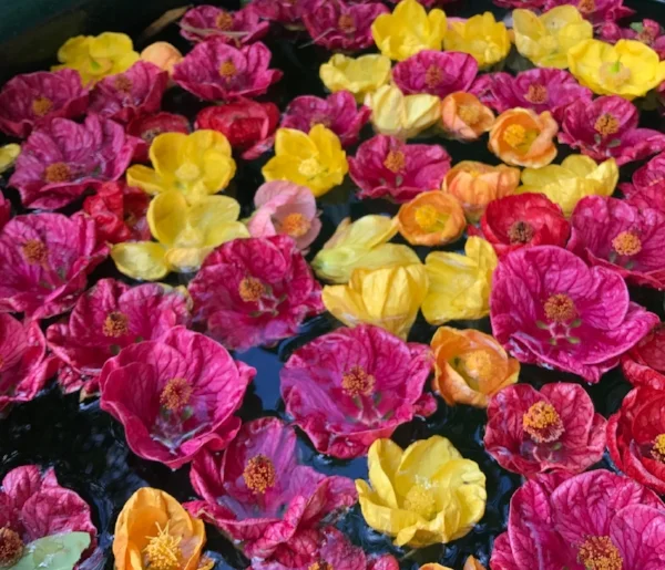 Regrets are ugly, take action now