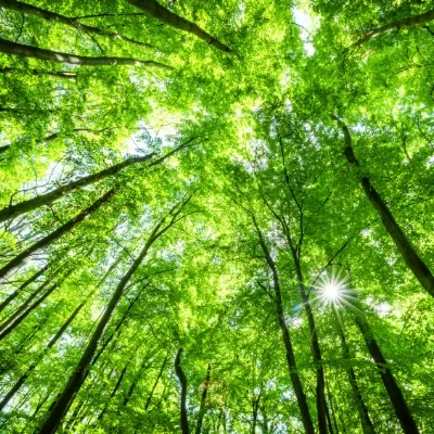 Where do things feel hard in your life or business?