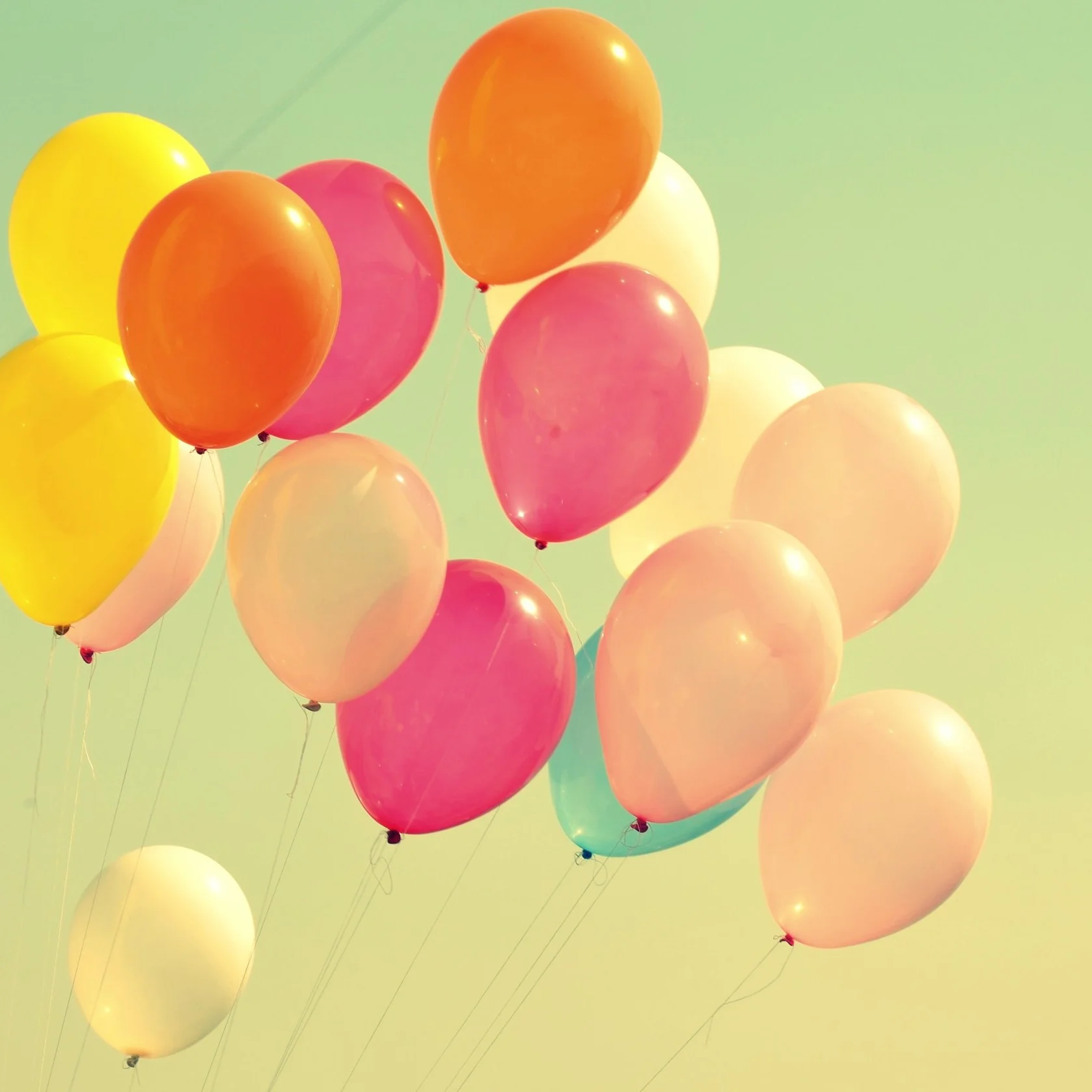 What do you need to let go of?