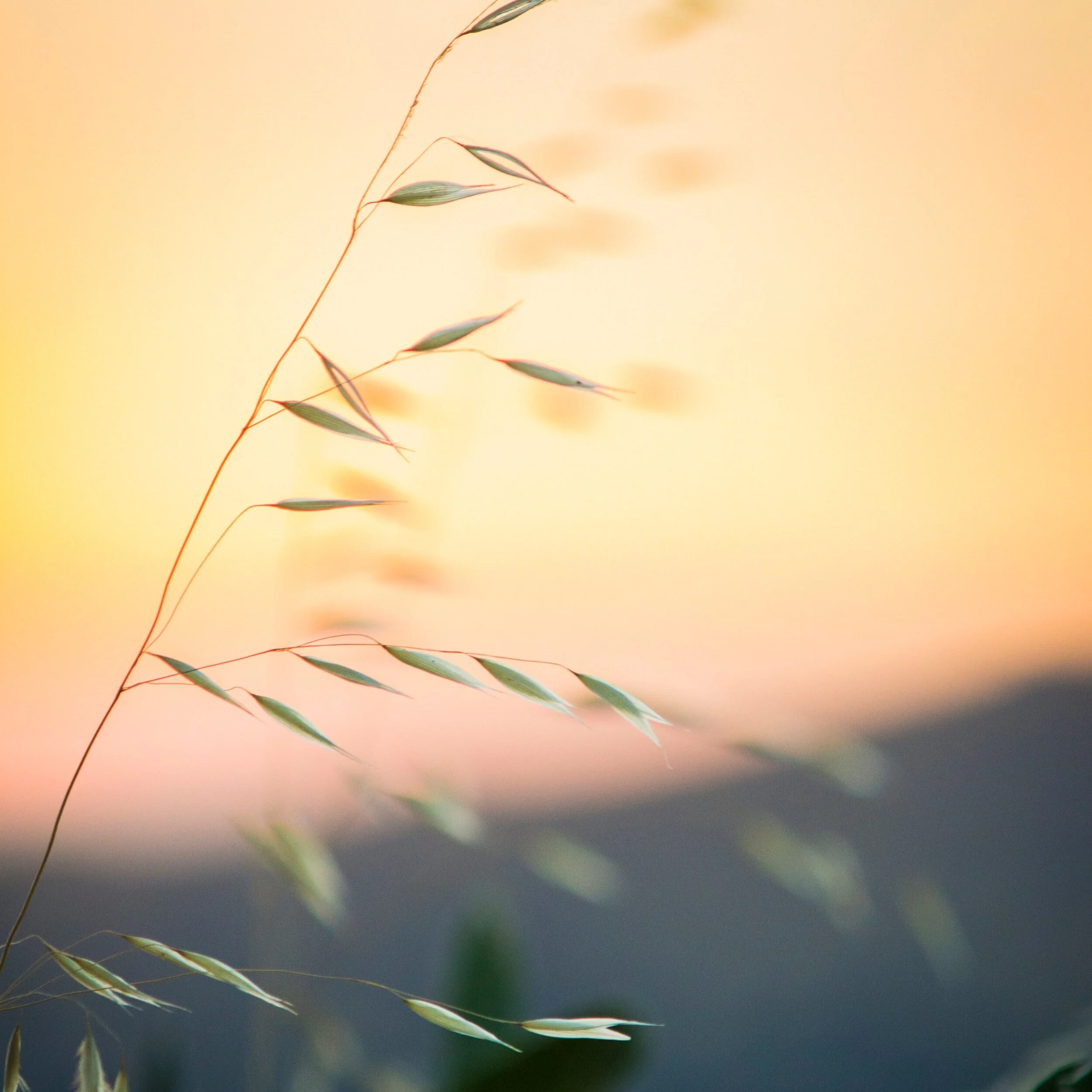 7 tips to help you feel stronger and calmer in uncertain and challenging times