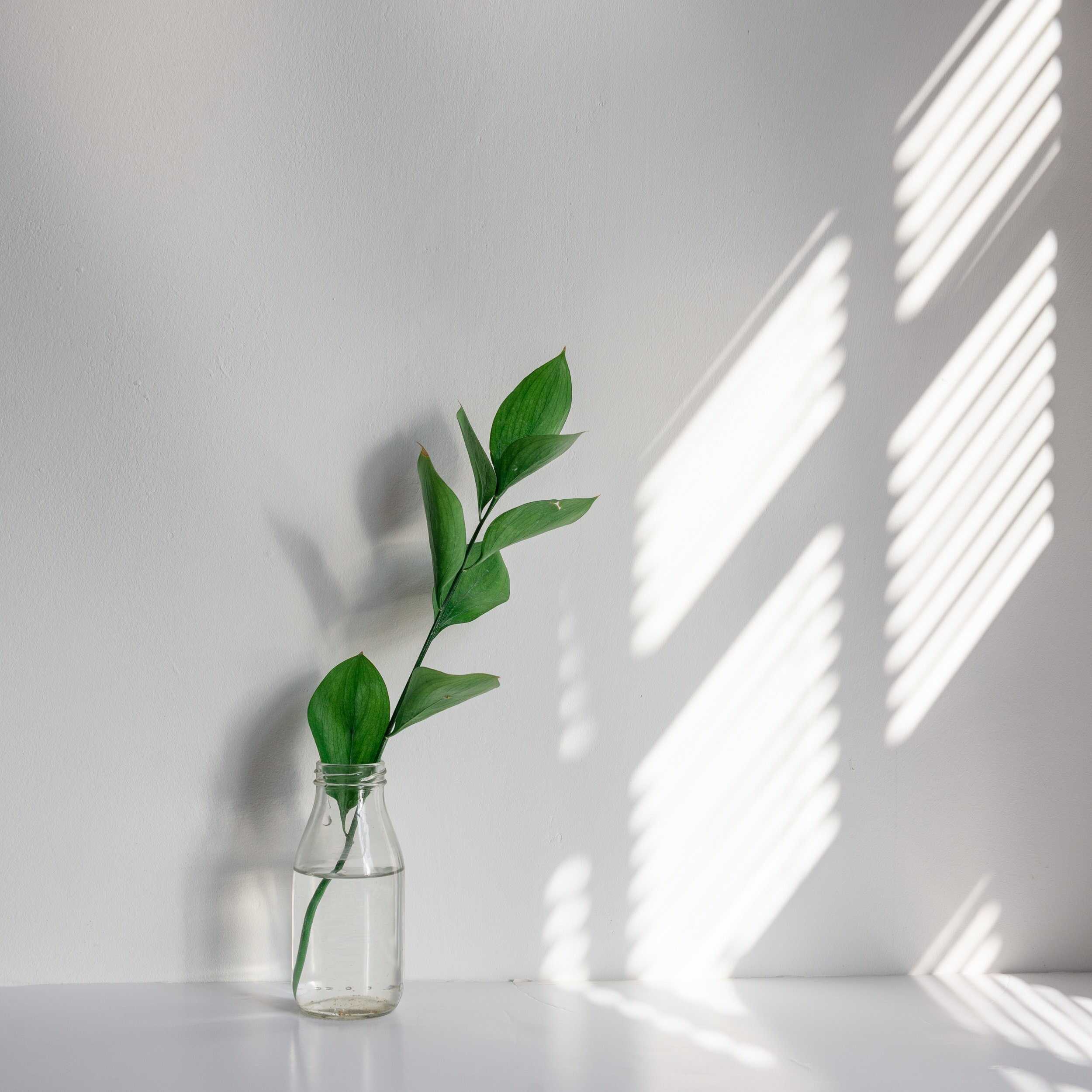 The invisible force shaping your life