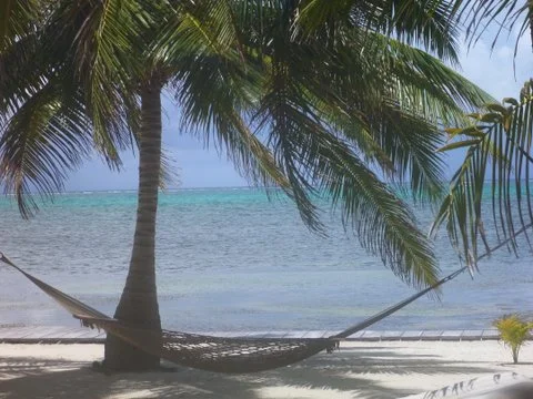 BelizeBeachHammockP1000369.JPG