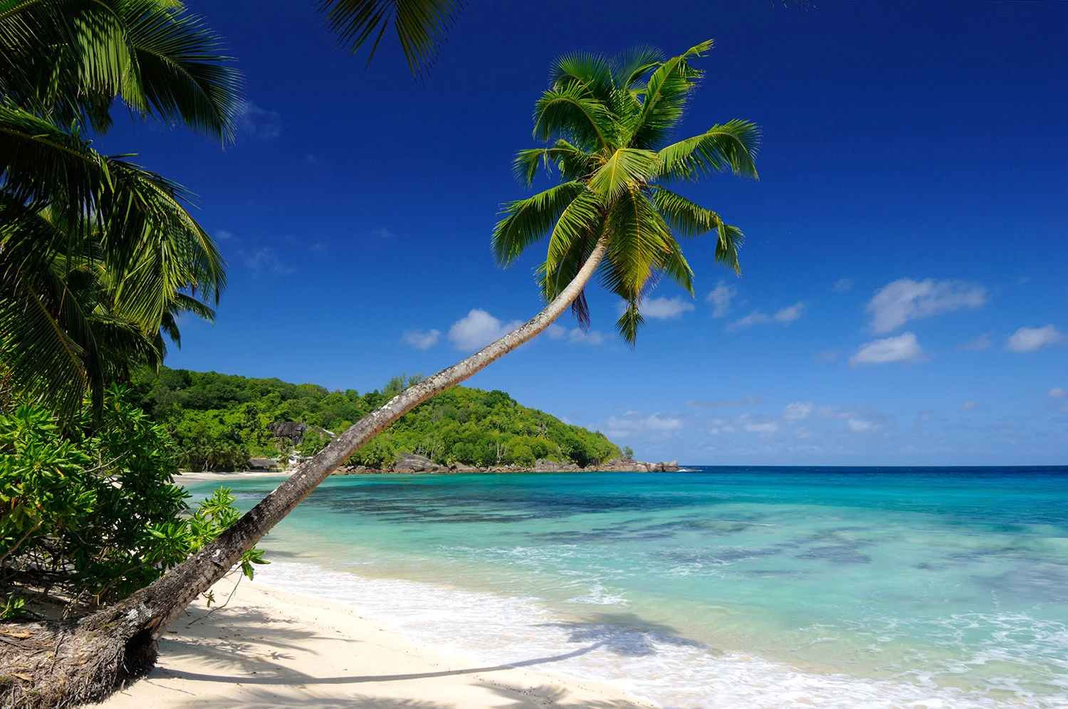 claire-seychelles.jpg