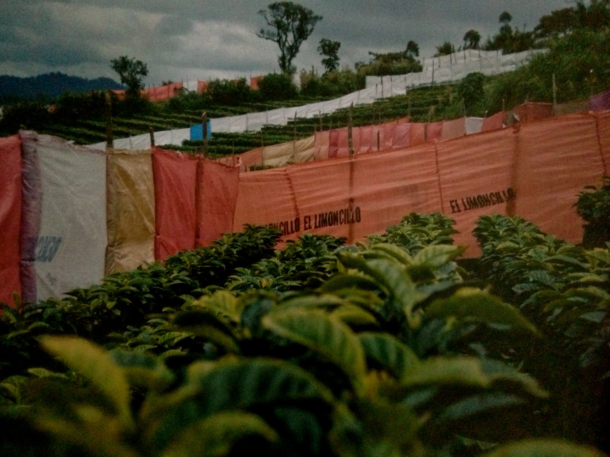 photo 3.jpg