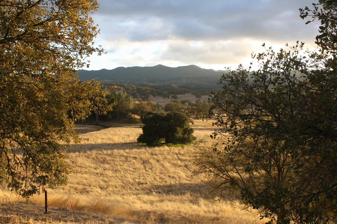 The Production of a Yoga Retreat