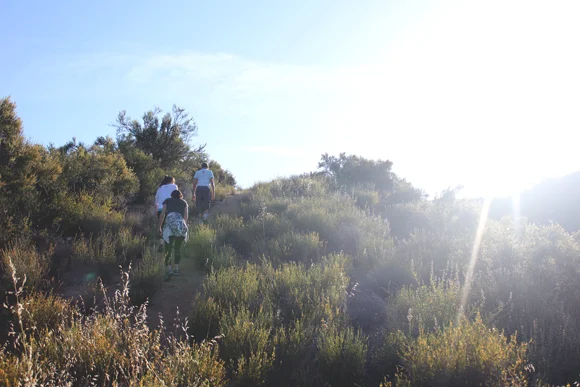 California sun, hiking and yoga.