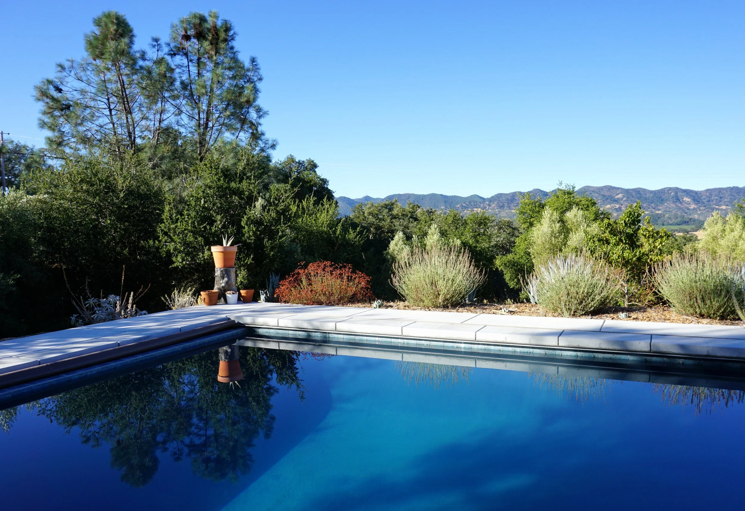 A clear blue swimming pool with a reflection of the sky and trees, surrounded by desert bushes and potted plants, with mountains in the background under a sunny sky.