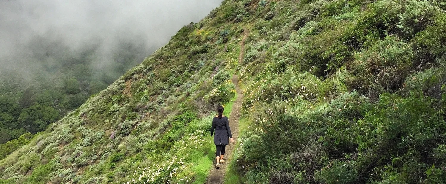 Yoga Peace And Quiet Retreat Californias Central Coast - 