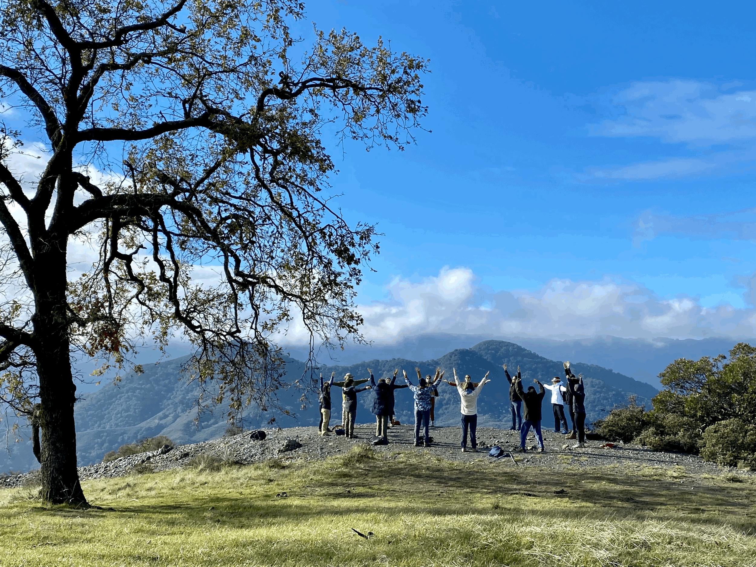 $300 Gift Certificate