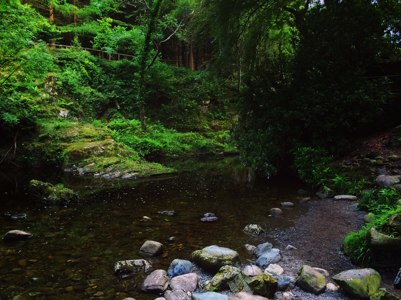 Project_20160625_0013.jpg