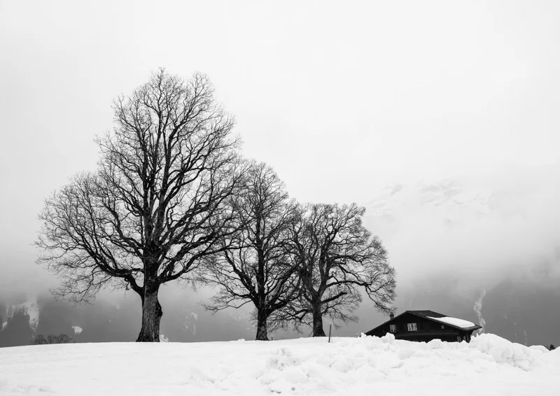 Grindelwald 2