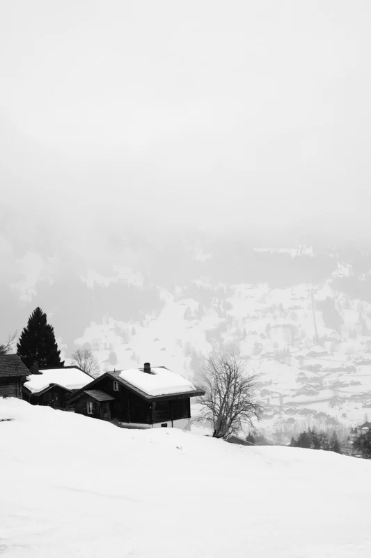 Grindelwald 3