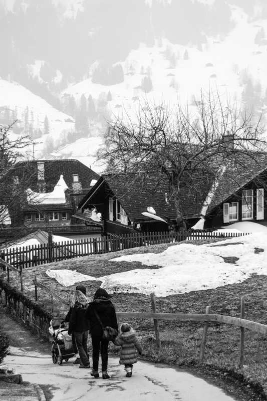 Grindelwald 4