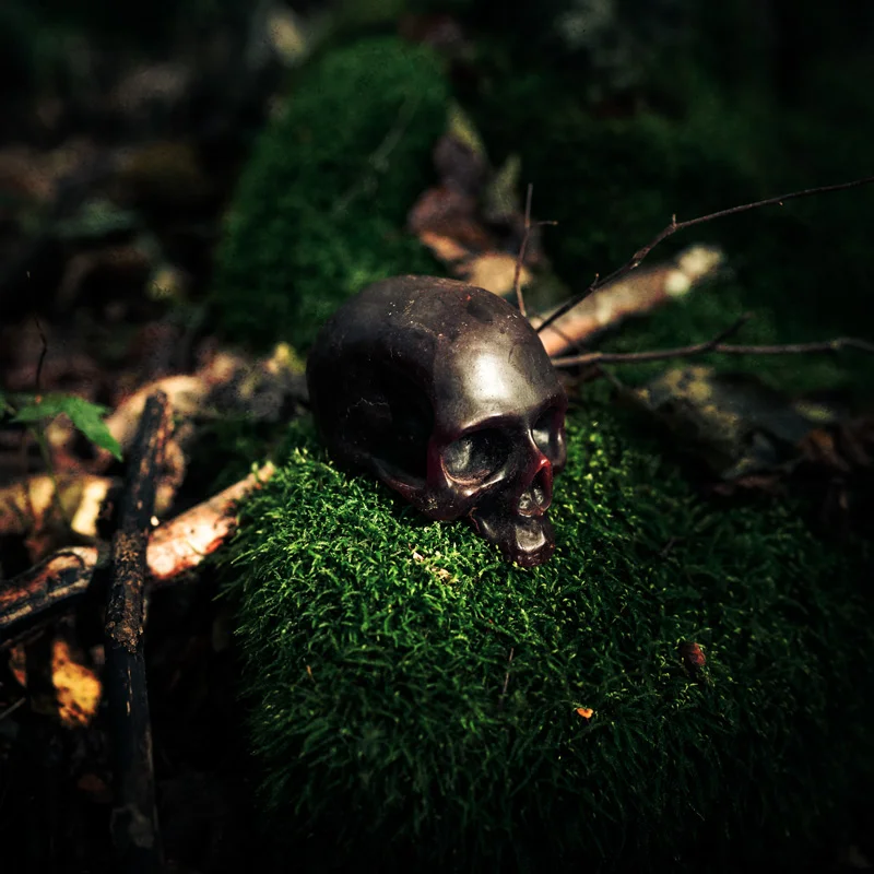 Skull in the forest by photographer Simon Whitehead