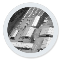 1991.png