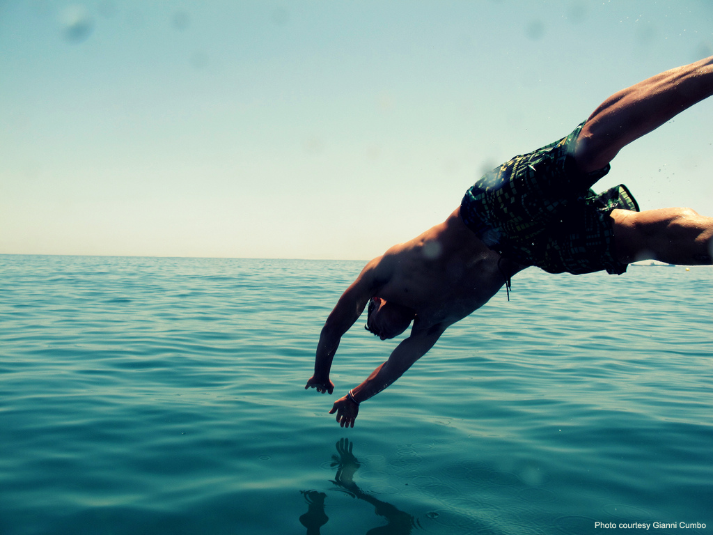 plunge2.png