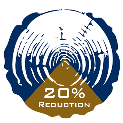 20 percent.png