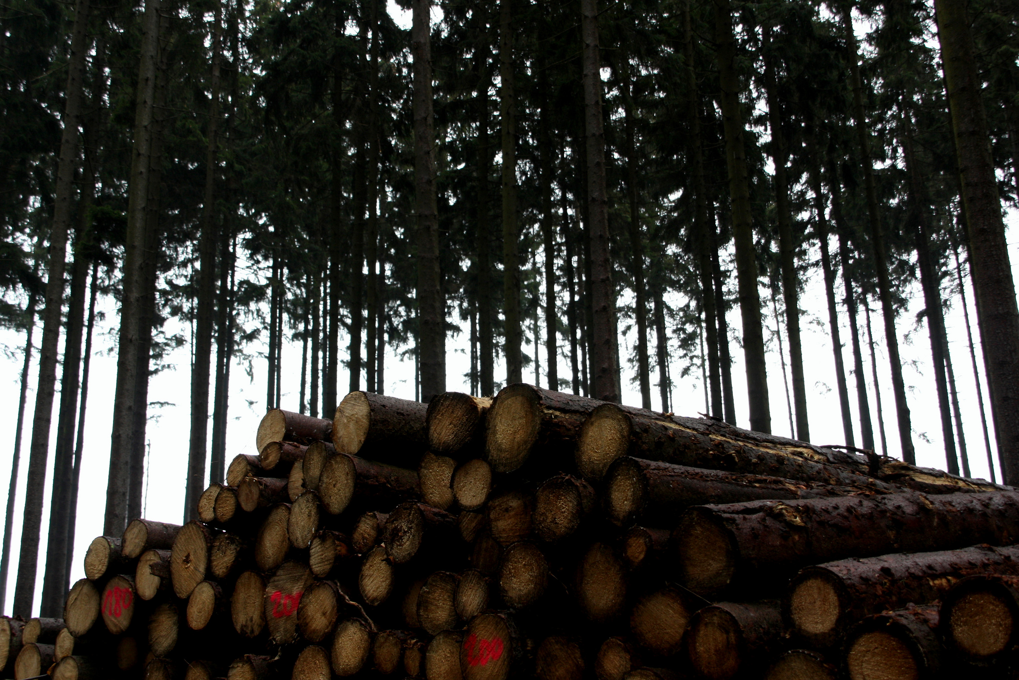 Photo courtesy Martin Fisch - Flickr