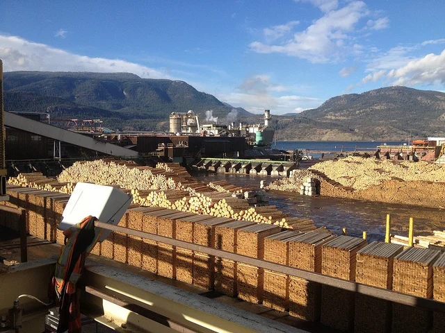 Lumber Market Comes Alive