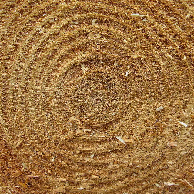 An Epic Trade Battle