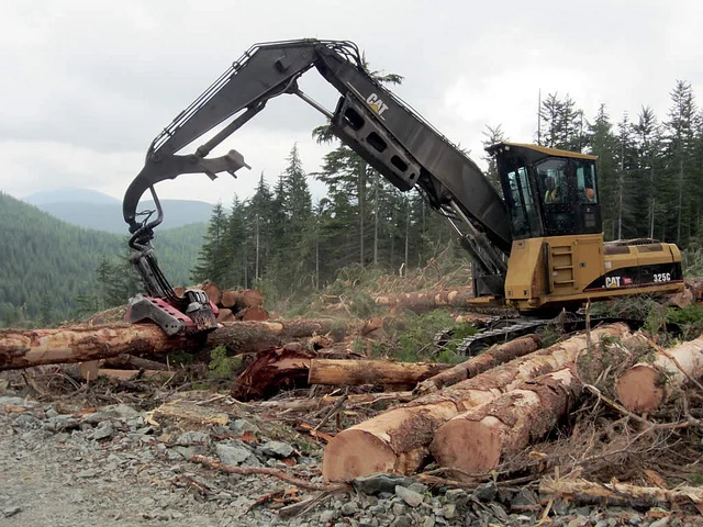 Emotion Fuels Lumber Market Spike