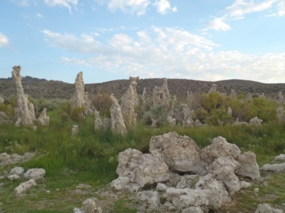  Shoreline tufa at Mono Lake National Scenic Forest Area 