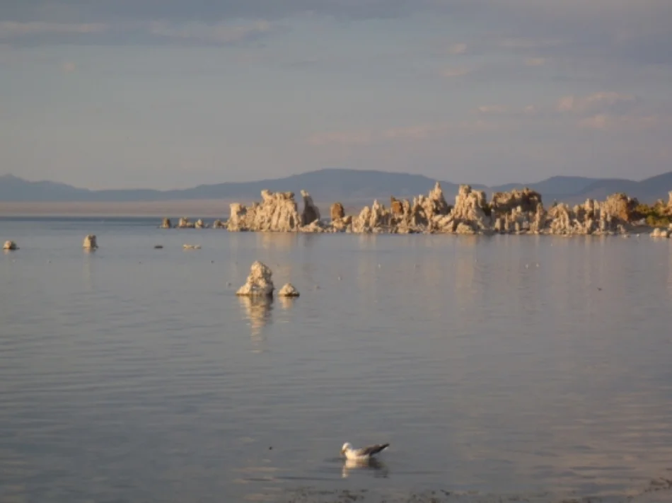  Mono Lake National Scenic Forest Scenic Area 