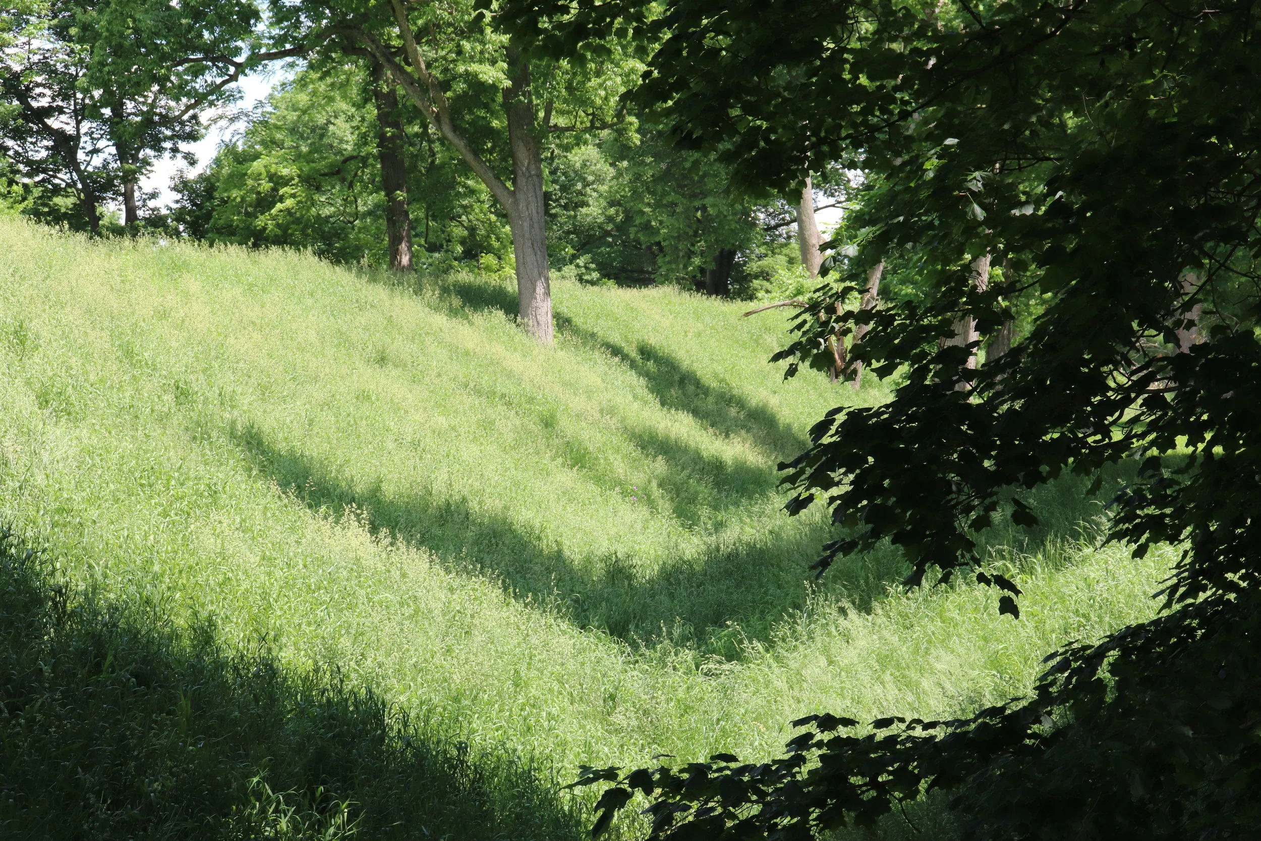 IMG_0540.JPG