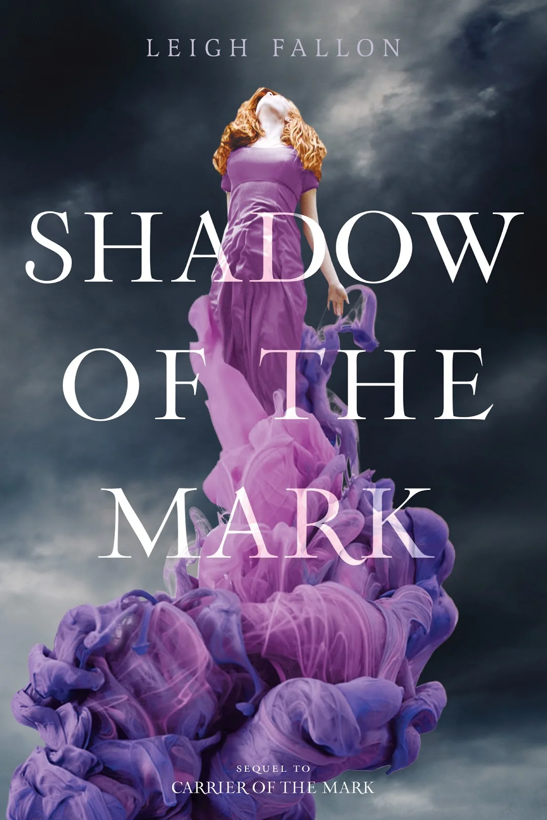 RayShappell_ShadowoftheMark.jpg
