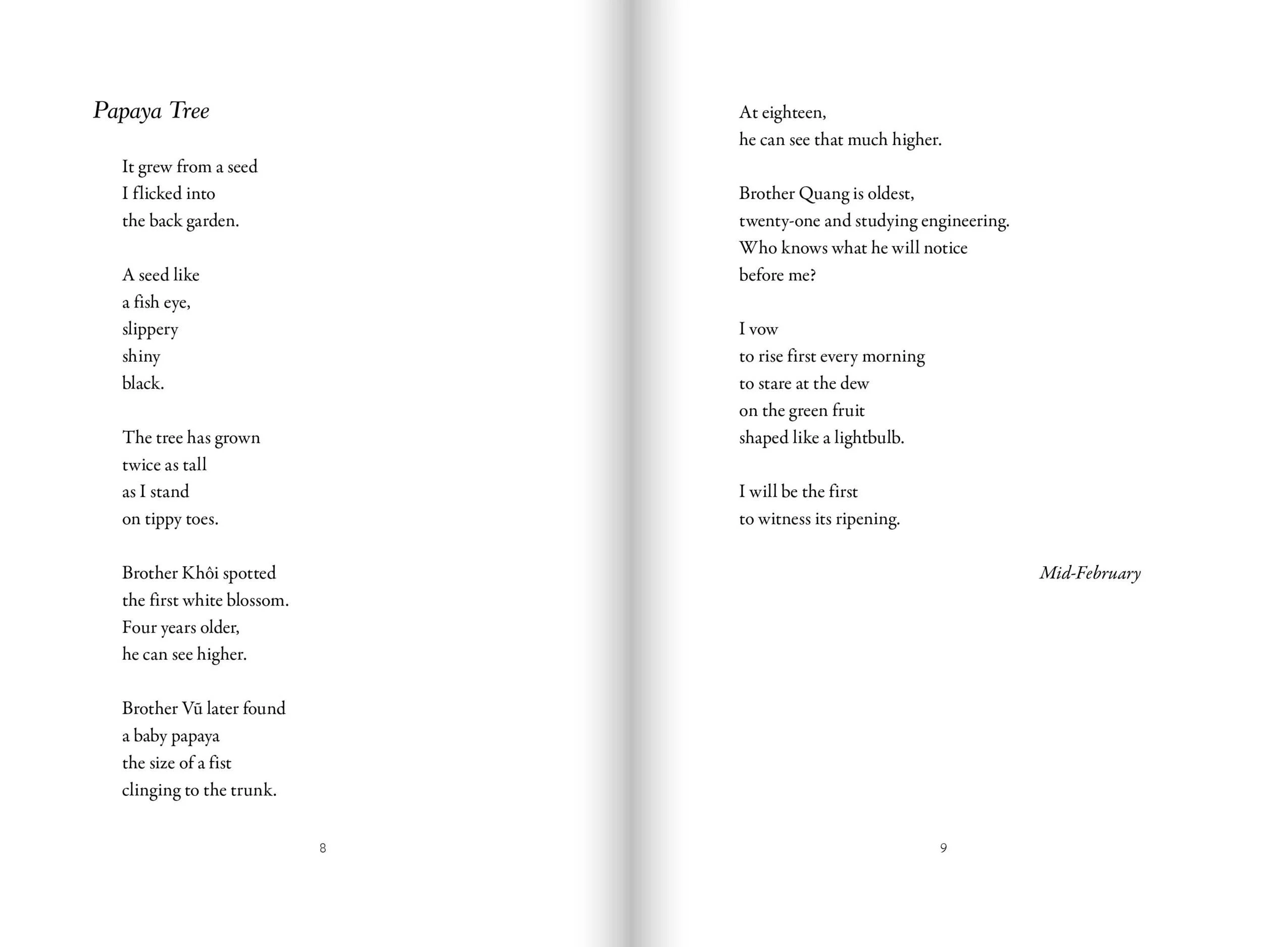 RayShappell_InsideOutAndBackAgain9.jpg