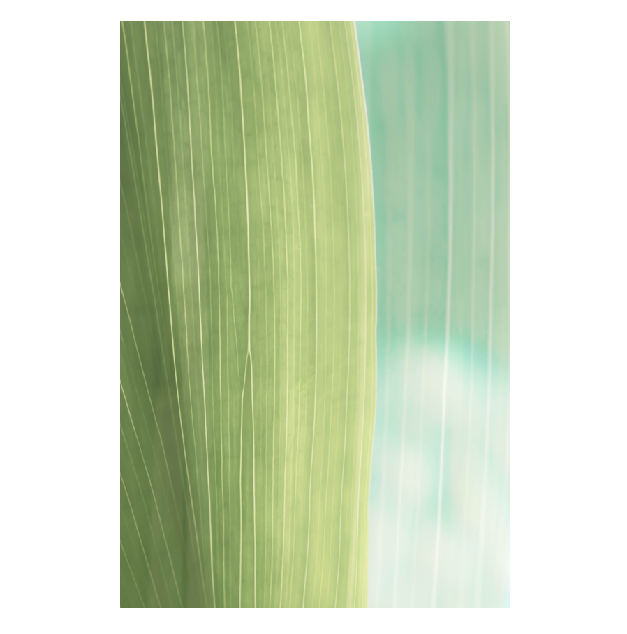 Blurred-Lines.png
