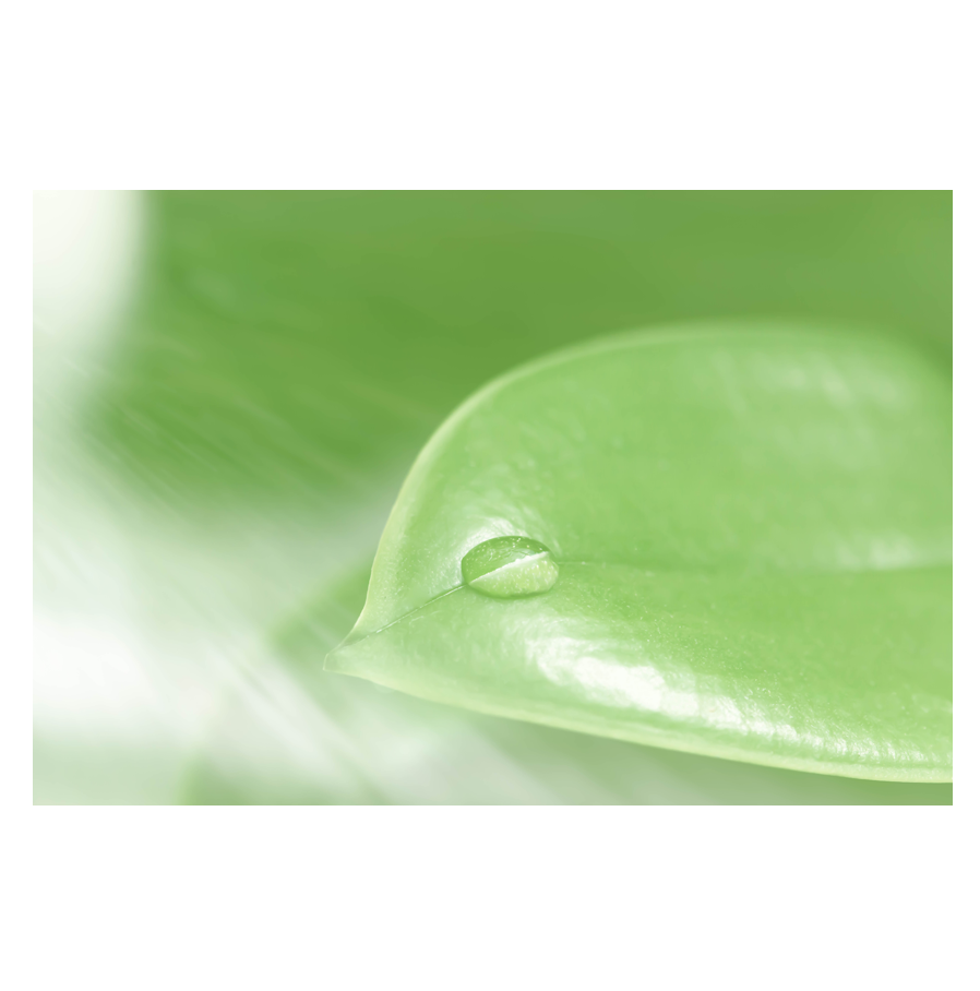 Green-Sea.png
