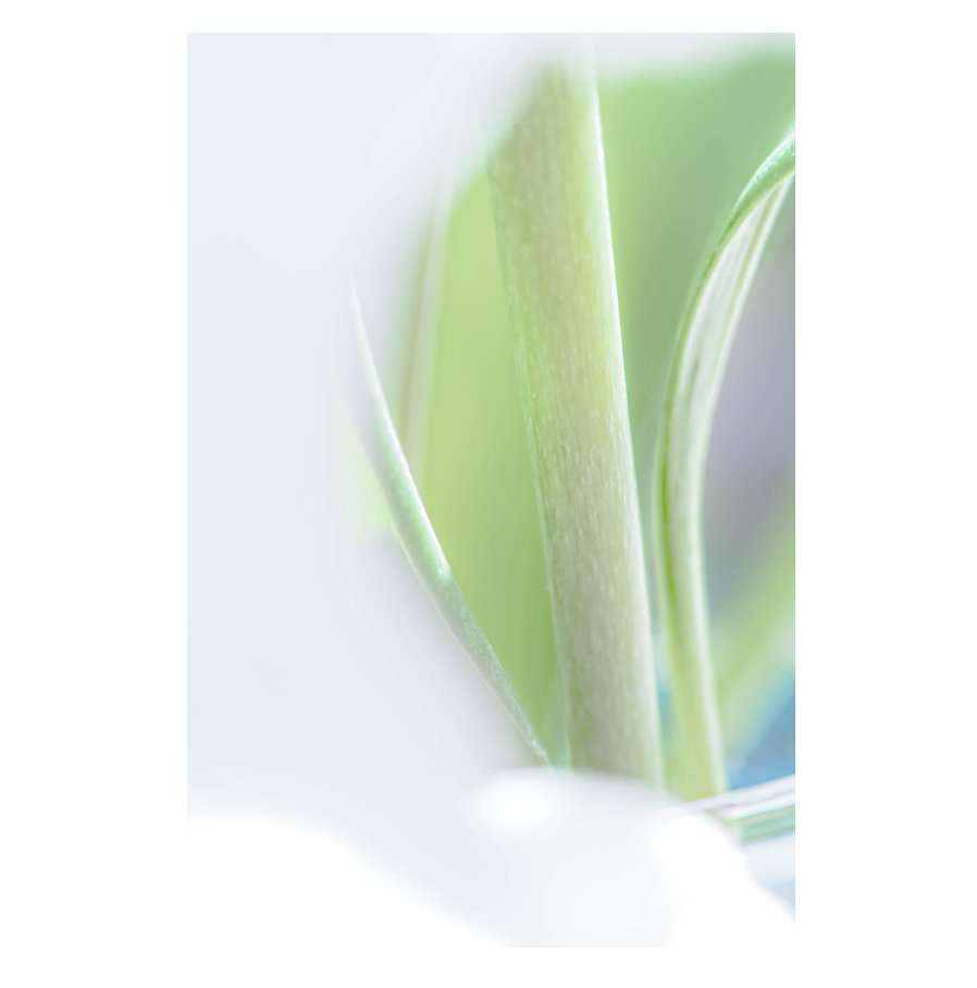 Hidden-Growth.png