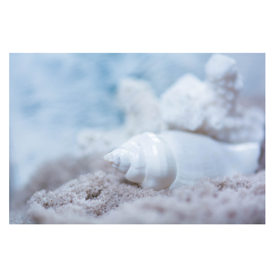 Beached.png