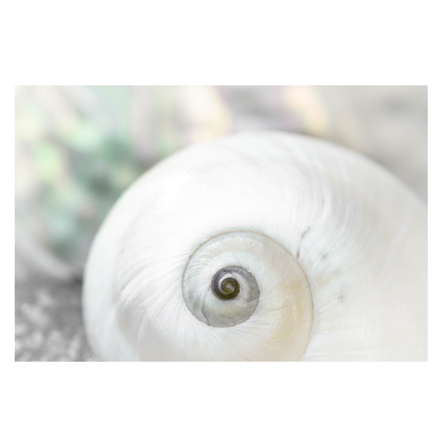 Pearl-Lite.png