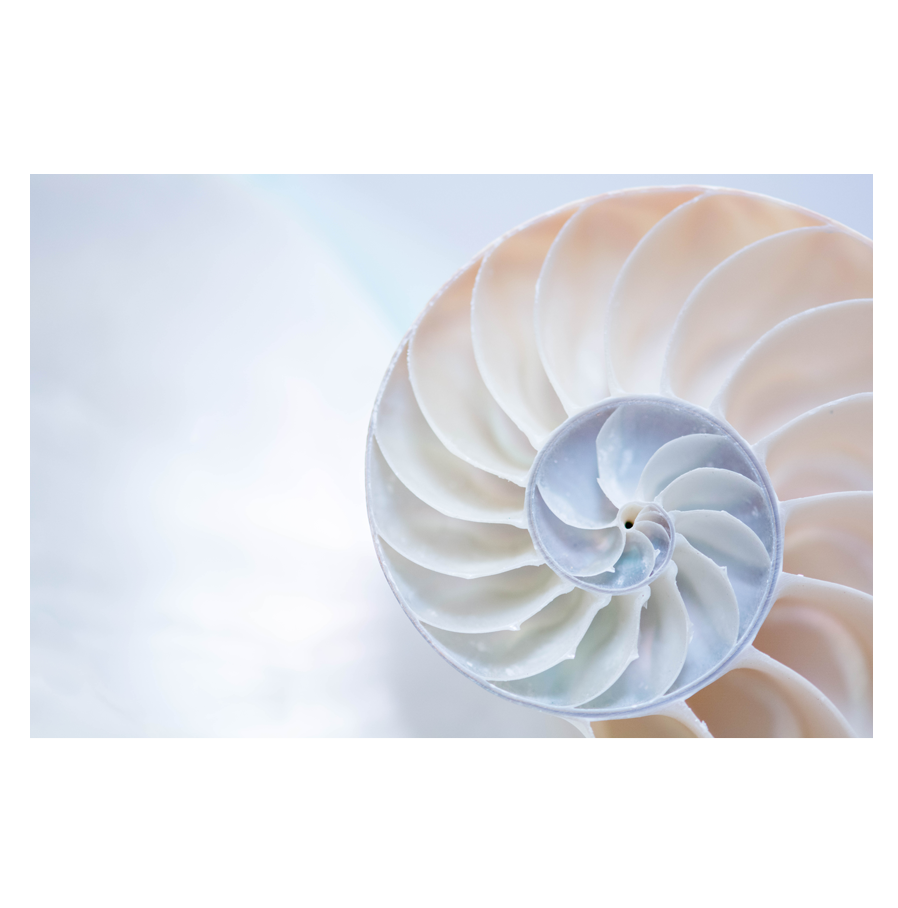 Pinwheel.png