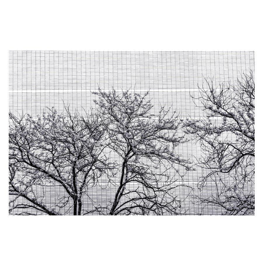 Backdrop.png