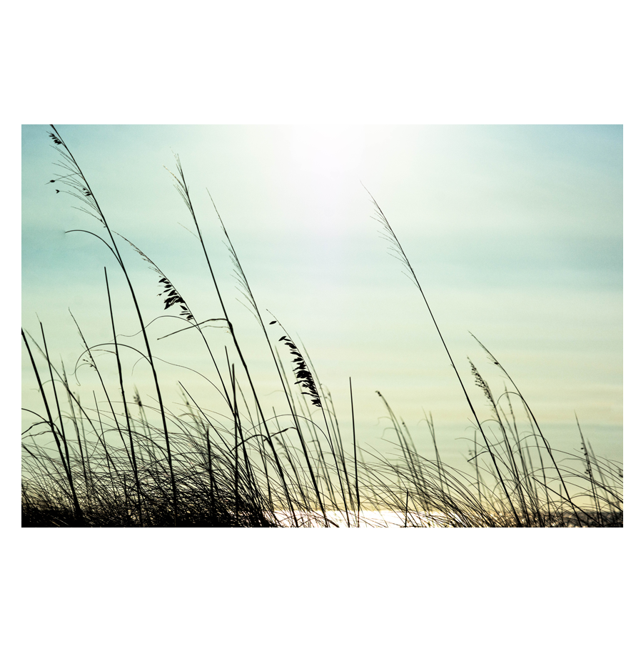 Coastal.png