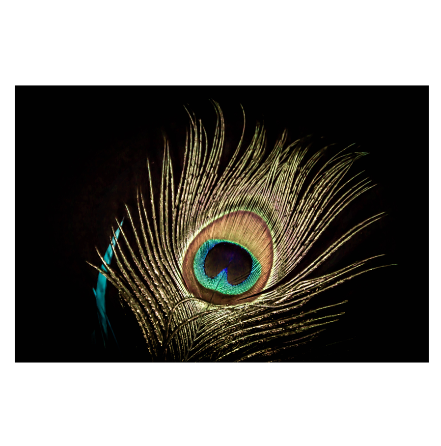 Fanned-Out.png