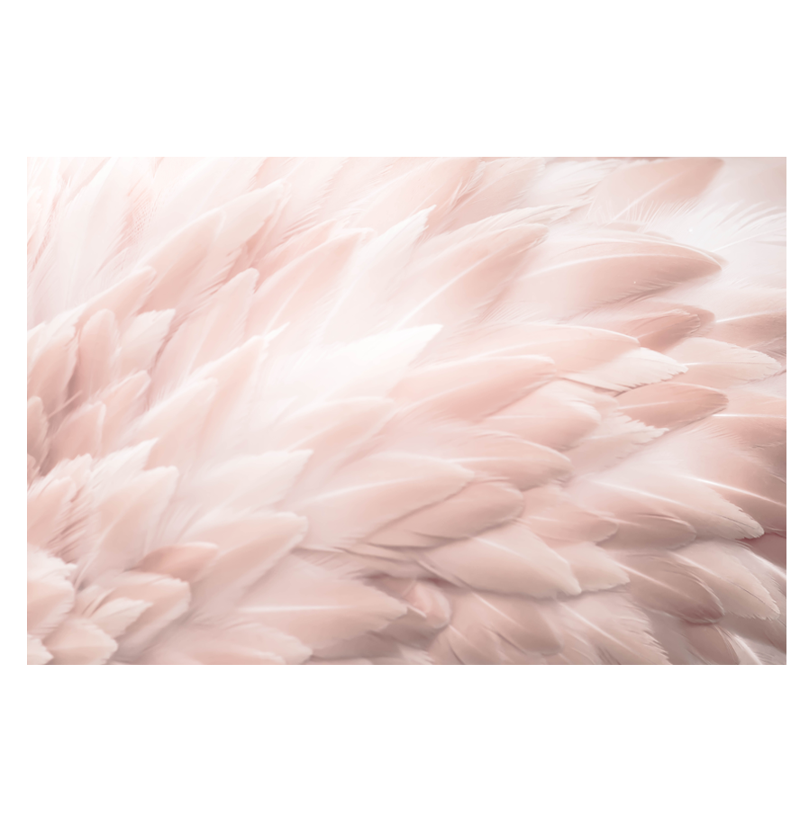 Flamingo-Fan.png