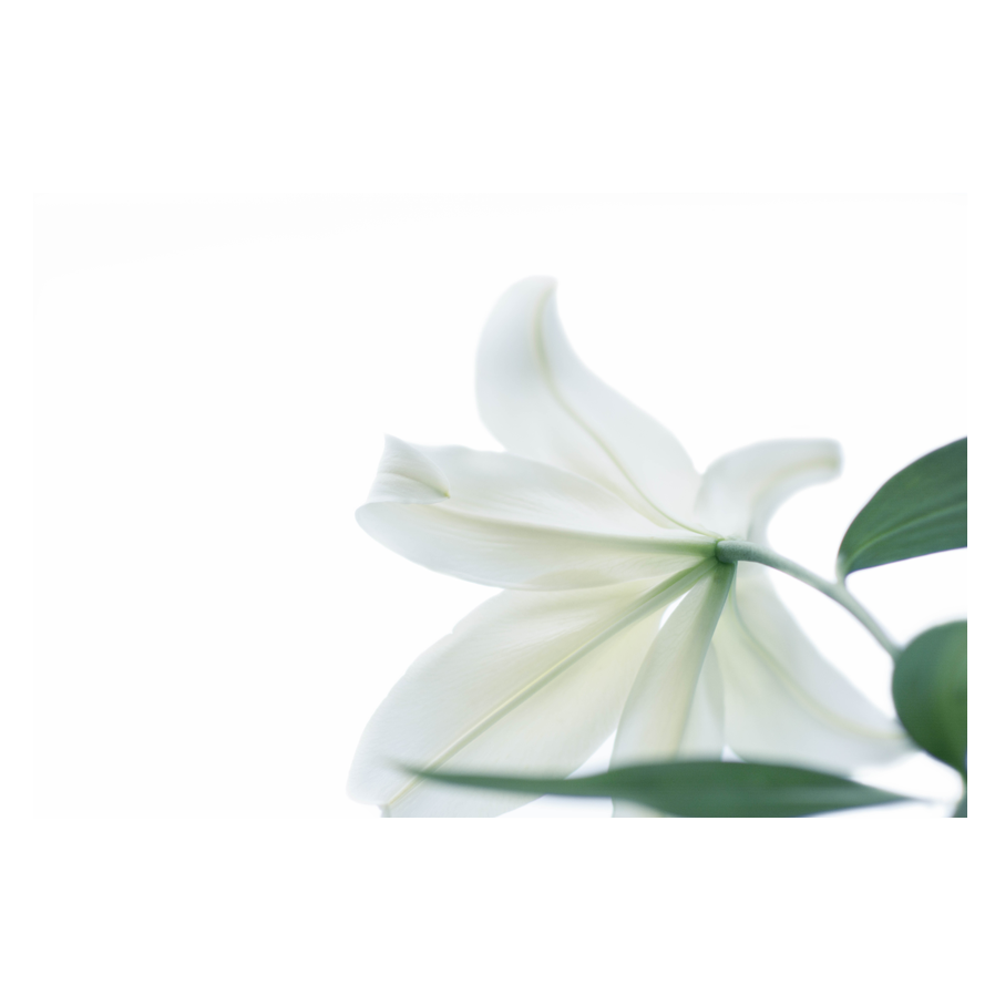 Flora.png