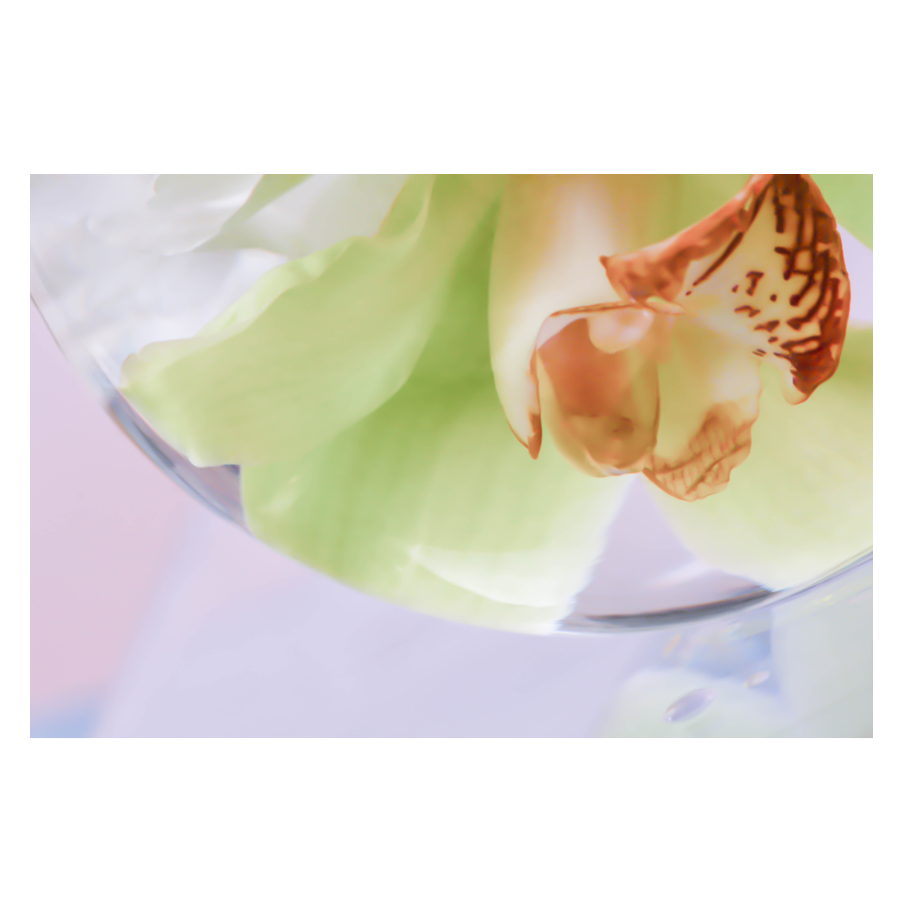 Floral-Glass.png
