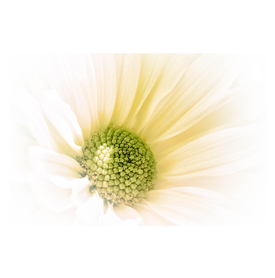 Lightness-_.png