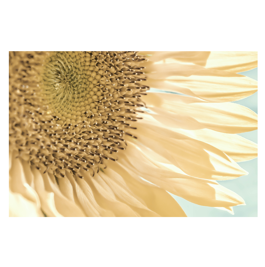 Sumer-Breeze.png