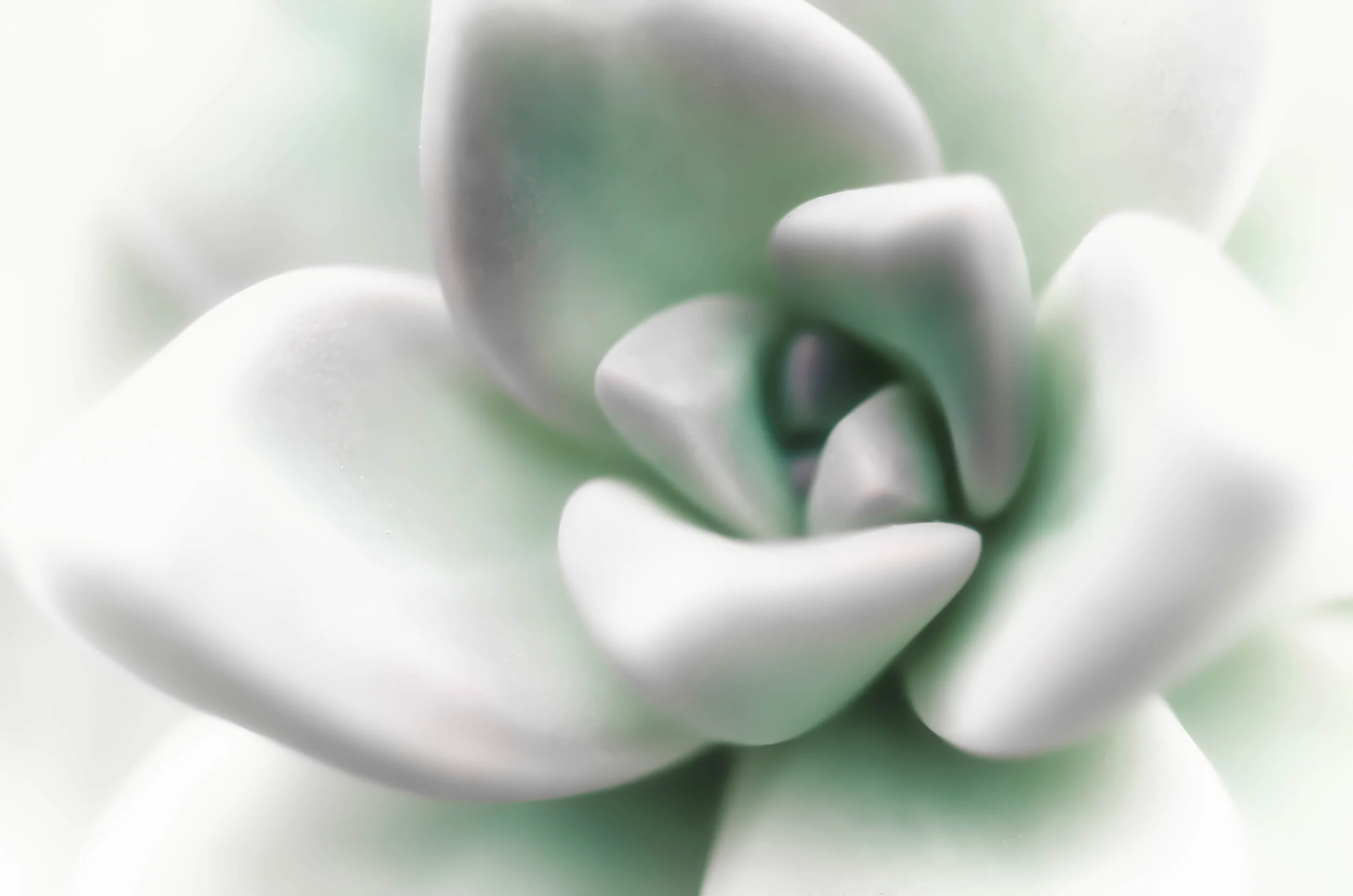 Sculpted