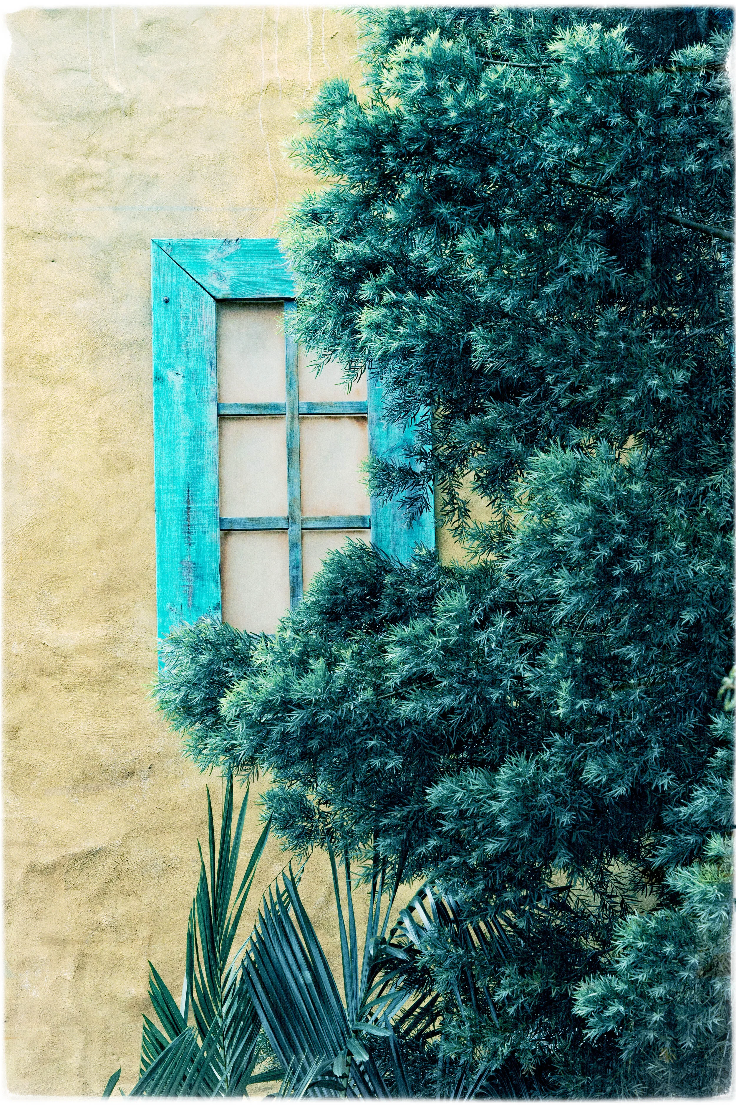 Glimpse